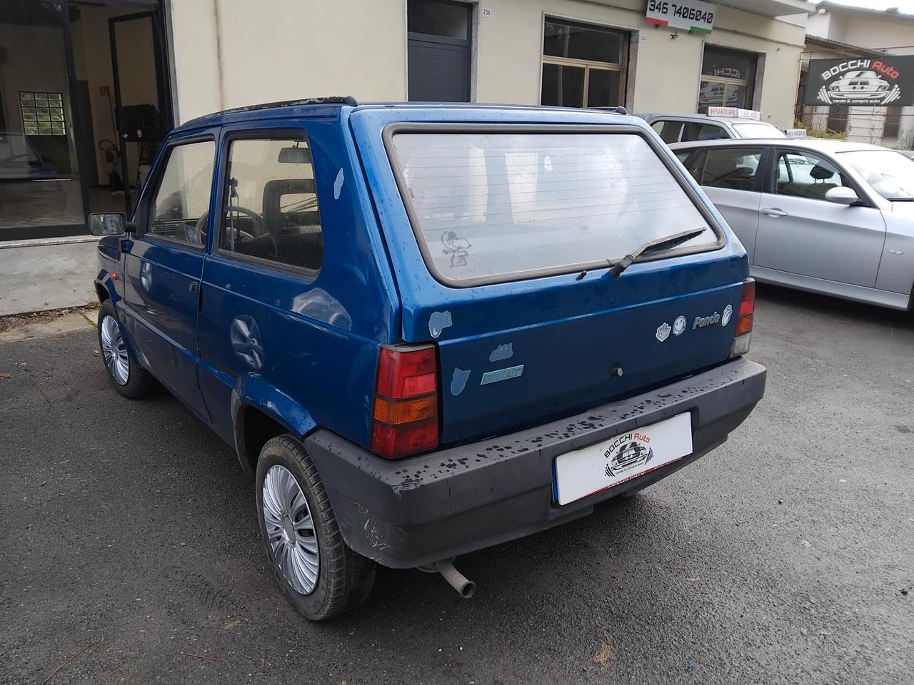 Fiat Panda 1100 i.e. cat Young