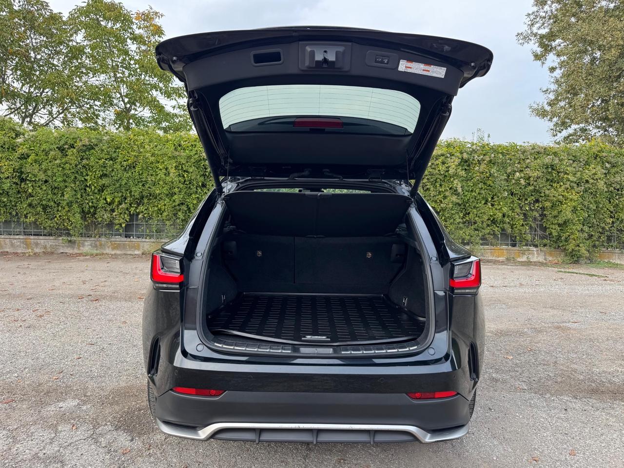 Lexus NX EXUS 450h+ 2.5 PLUG-IN HYBRID F SPORT 4WD – 309 CV