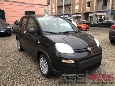 FIAT Panda Panda 1.0 FireFly S&S Hybrid Icon
