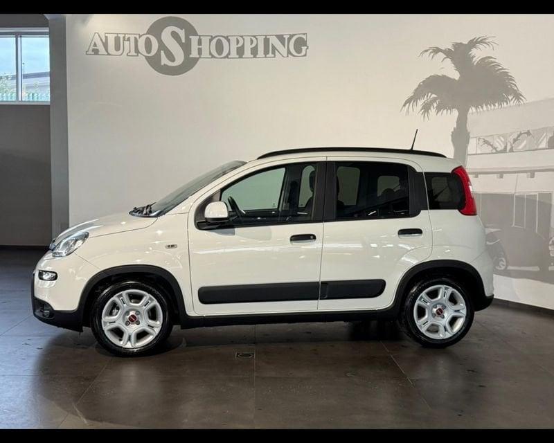 FIAT Panda 3ª serie 1.0 FireFly S&S Hybrid City Cross