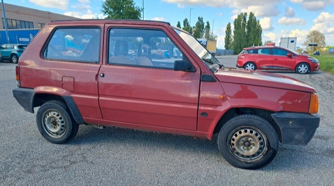 Fiat Panda 1100 i.e. cat Young