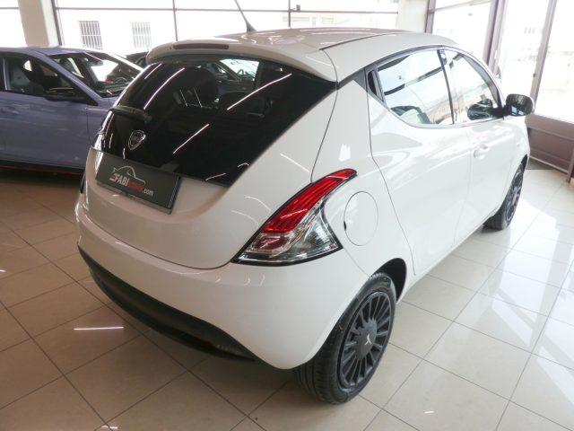 LANCIA Ypsilon 1.2 Elefantino 69 Cv 5 Posti - OK NEOPATENTATI