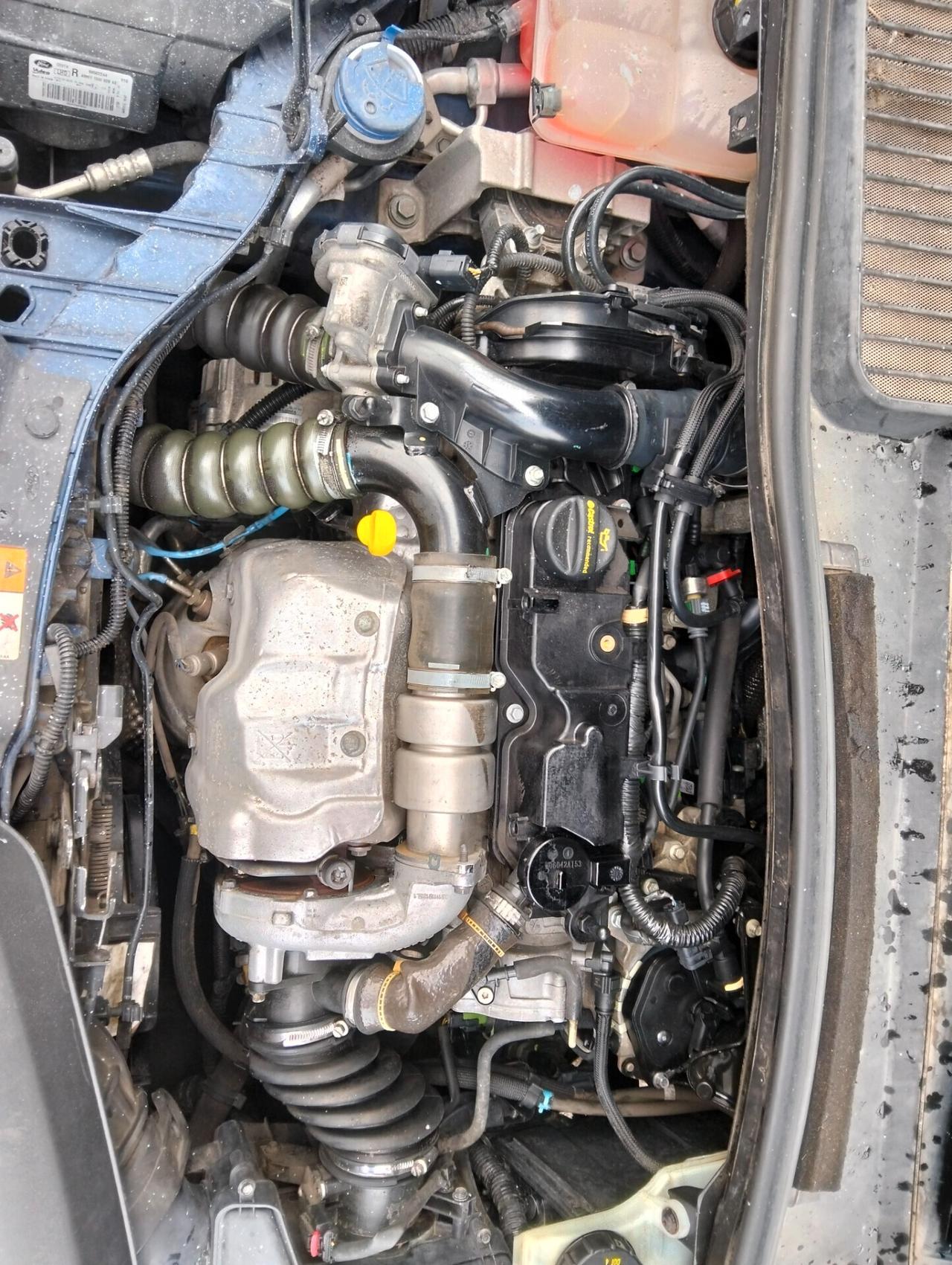 Ford C-Max 1.6 TDCi 115CV Titanium