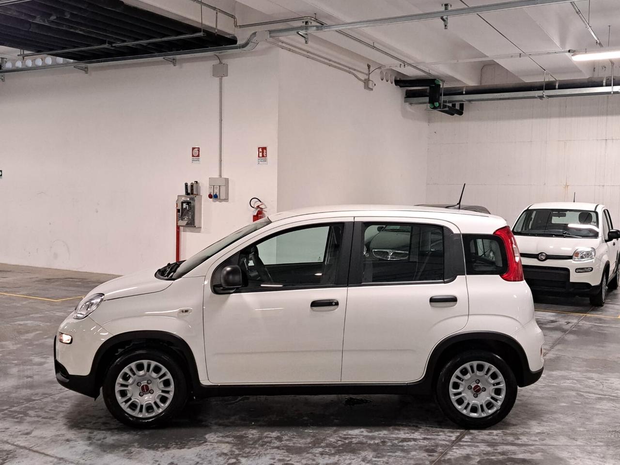 Fiat Panda 1200 69CV EasyPower 5 Porte **GPL** Km. 0