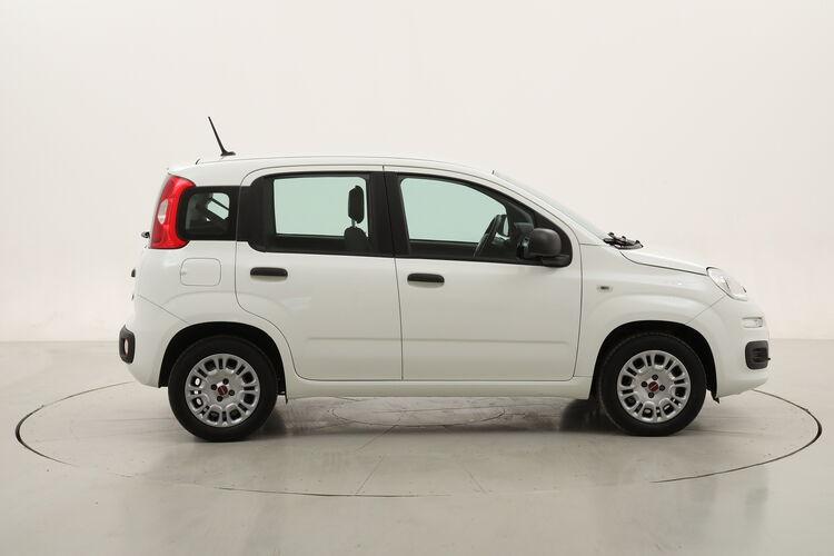 Fiat Panda Easy BR526829 1.2 Benzina 69CV
