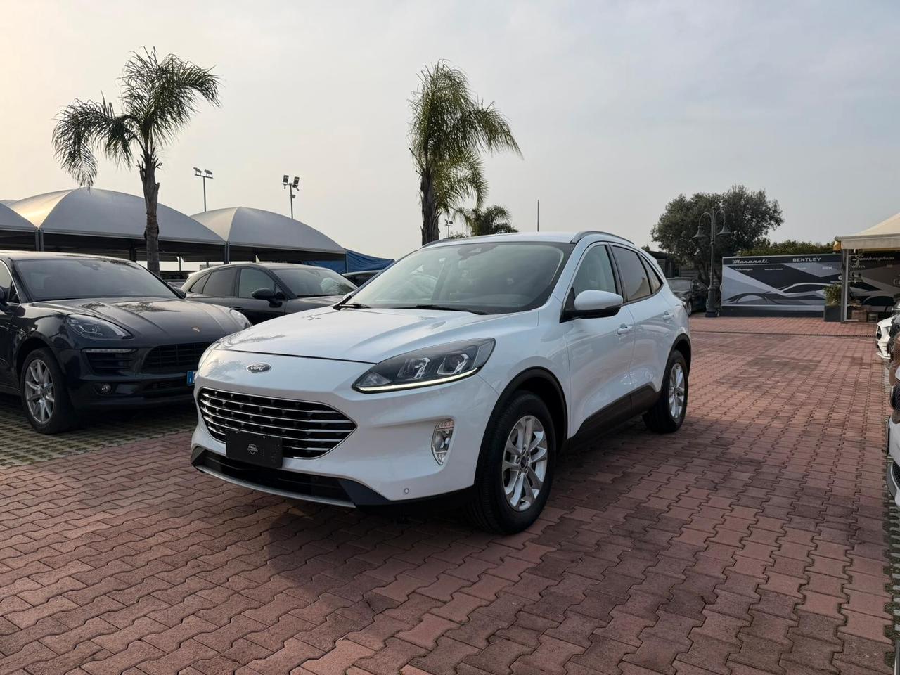 Ford Kuga 1.5 EcoBlue 120 CV 2WD Titanium