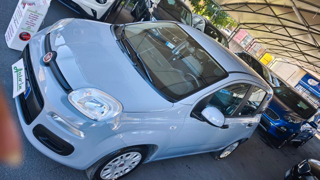 Fiat Panda 1.0 FireFly S&S Hybrid