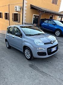 Fiat Panda 1.0 FireFly 70cv Hybrid 2022