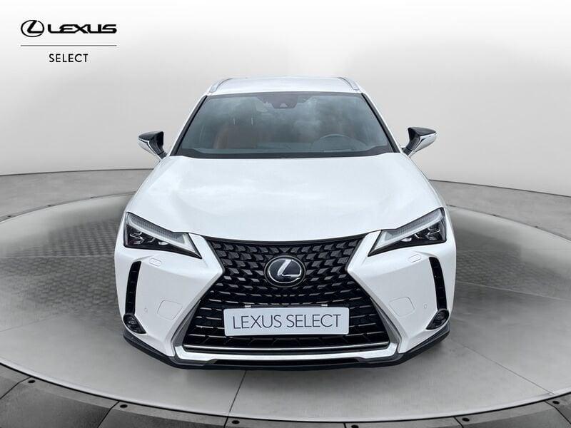 Lexus UX UX 250h 2.0 Luxury 2wd cvt