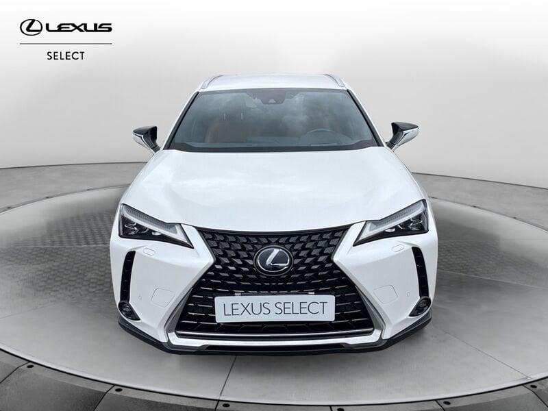 Lexus UX Hybrid 4WD Luxury