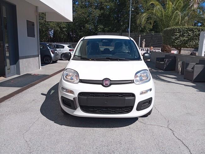 Fiat Panda 1.0 FireFly S&S Hybrid Icon