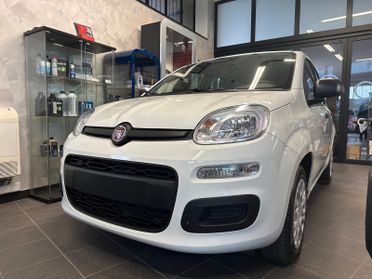 FIAT Panda 3ª serie Panda 1.0 FireFly S&S Hybr...