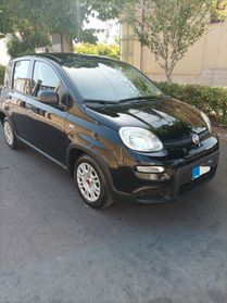 Fiat Panda 1.0 FireFly S&S Hybrid - 2023