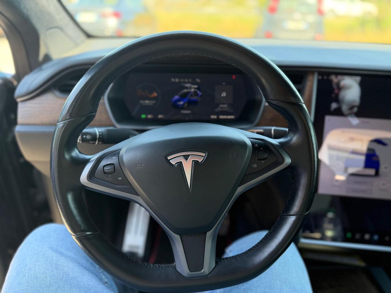 Tesla Model X LONG RANGE 100 D #11361