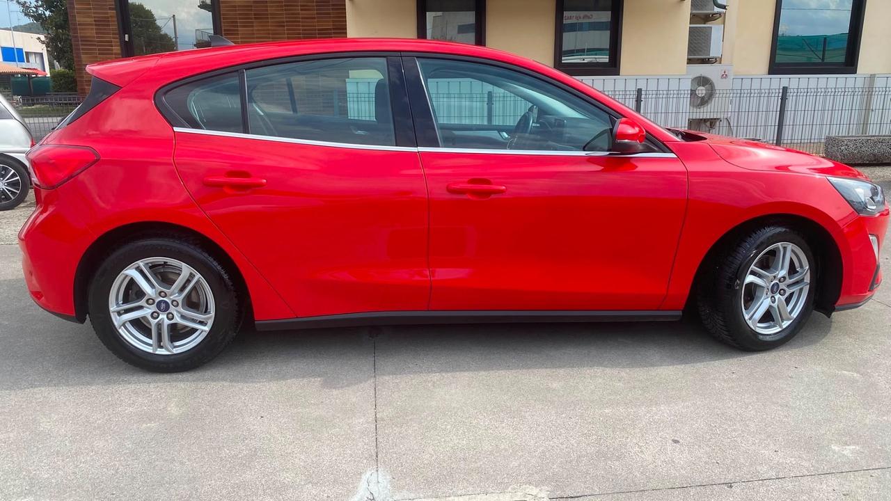 Ford Focus 1.5 EcoBlue 95 CV 5p. Business