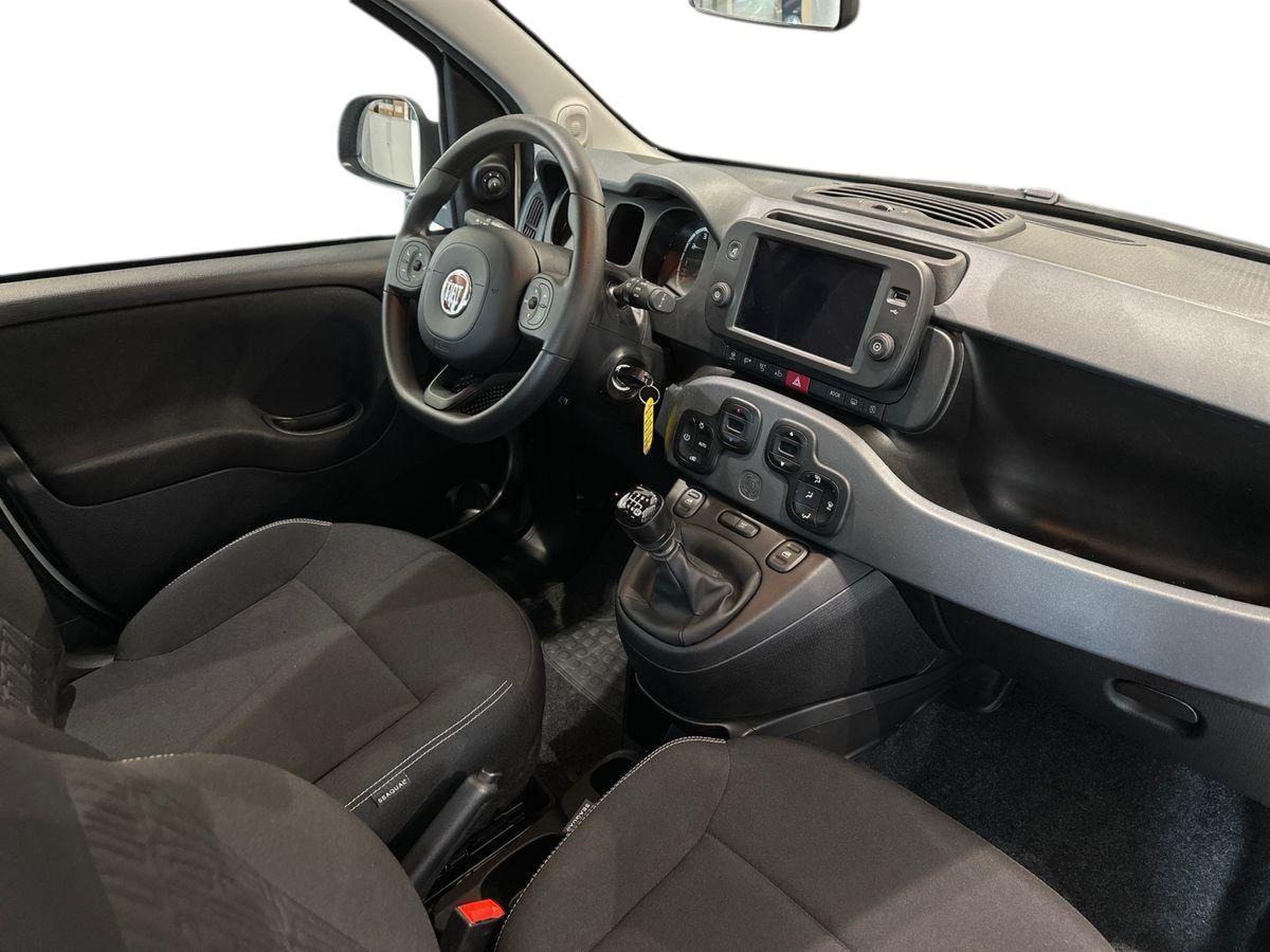 FIAT Panda III 2021 - Panda 1.0 firefly hybrid s&s 70cv 5p.ti