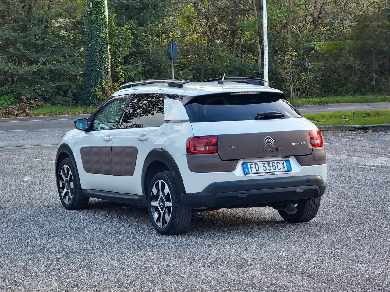 Citroen C4 Cactus BlueHDi 100 S&S Shine 2016-E6B Manuale