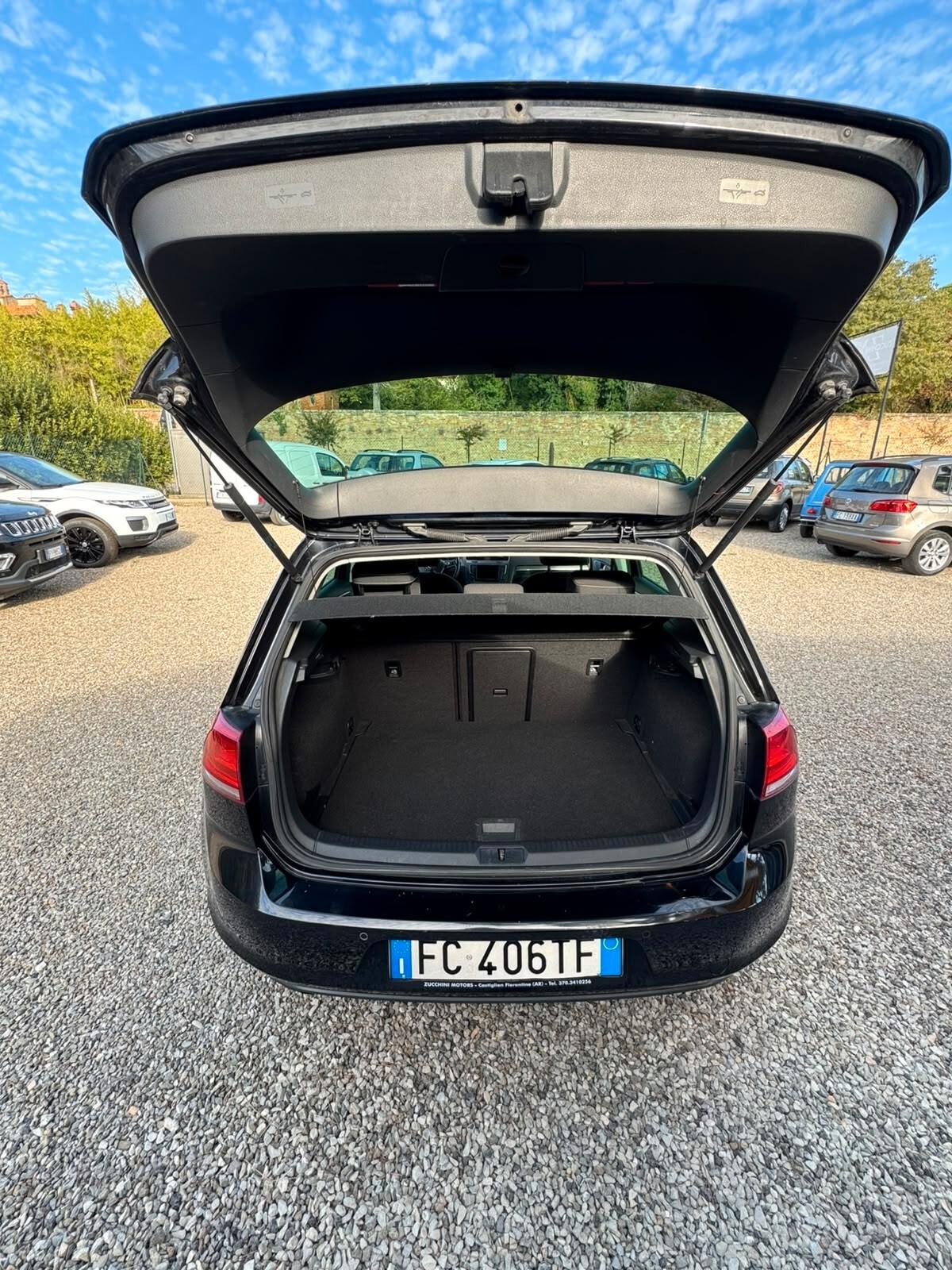Volkswagen Golf 1.6 TDI 110 CV 5p. Executive BlueMotion Technology