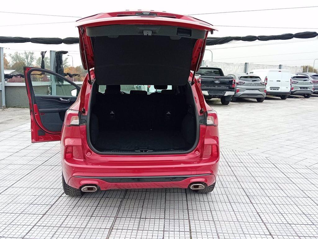 FORD Kuga full hybrid ST-Line 2wd Automatica del 2021