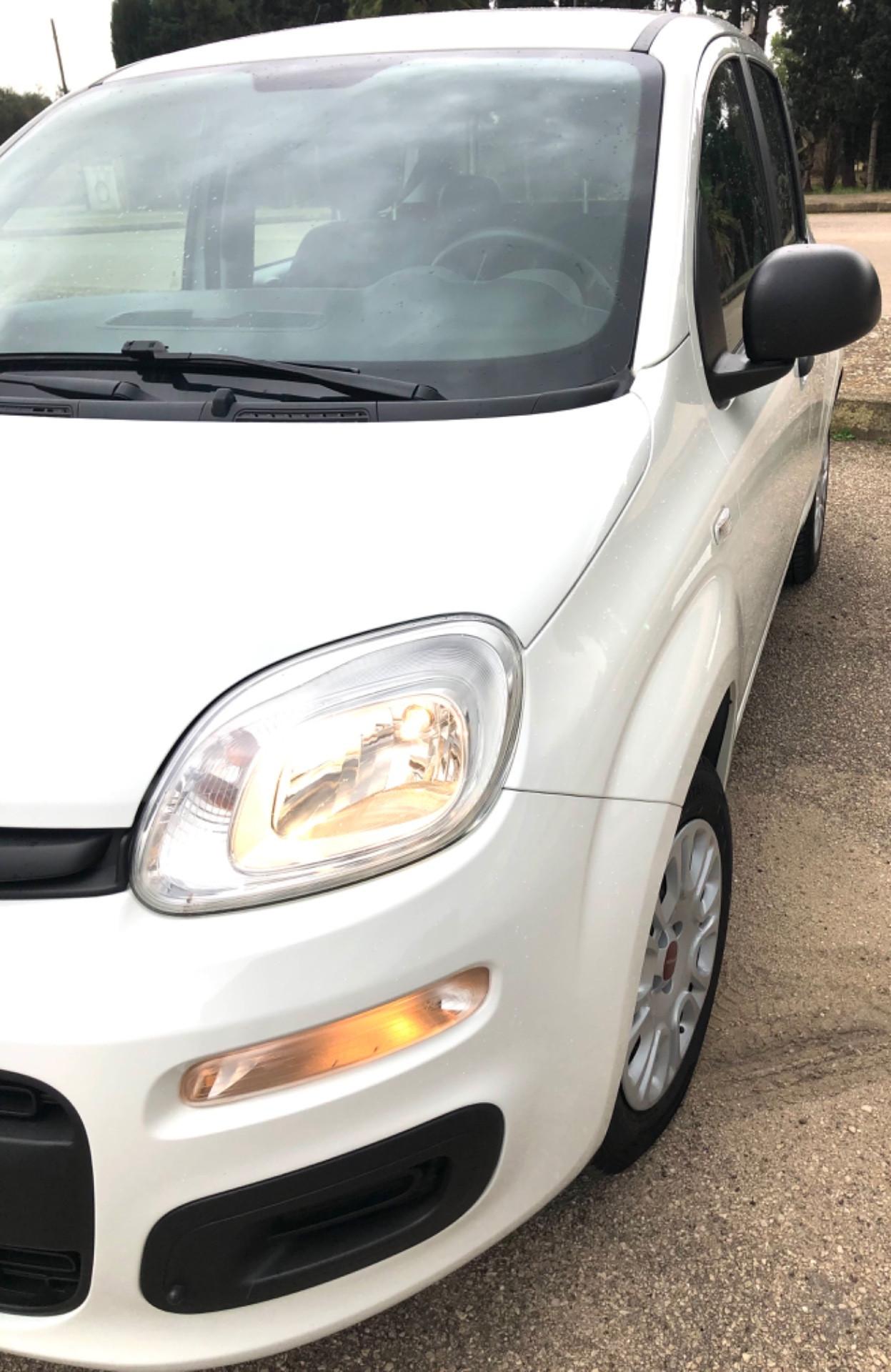 Fiat Panda 1.2 Easy