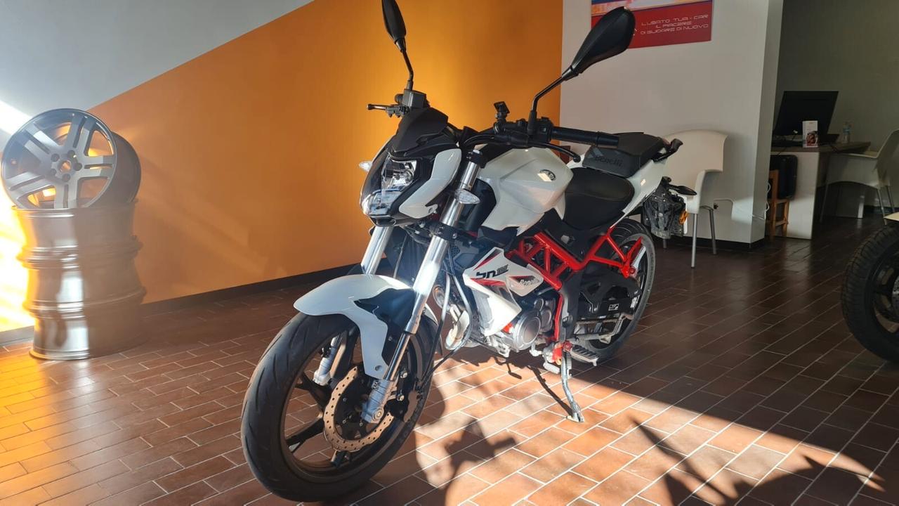 Benelli BN 125 ( 2021 / 2025 )