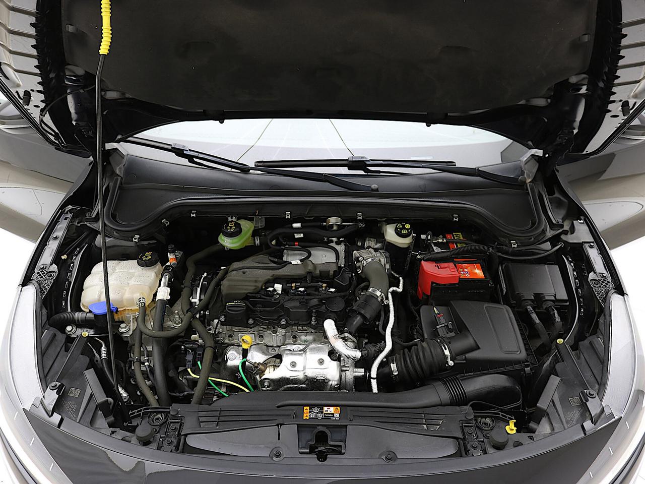 Ford Focus 1.5 EcoBlue 120 CV auto SW Business