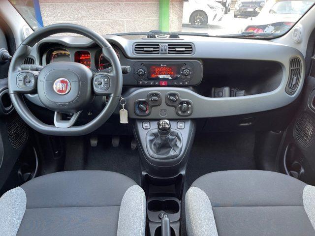FIAT Panda 1.0 FIREFLY HYBRID 70CV CITY LIFE BLUETOOH