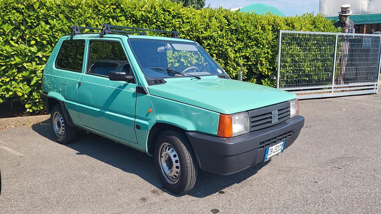 Fiat Panda 1100 i.e. cat Young