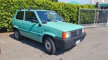 Fiat Panda 1100 i.e. cat Young