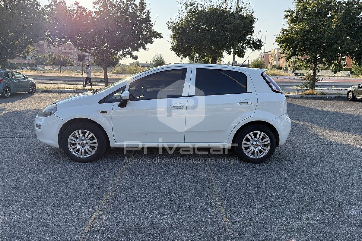 FIAT Punto 1.4 8V 5 porte Easypower Young