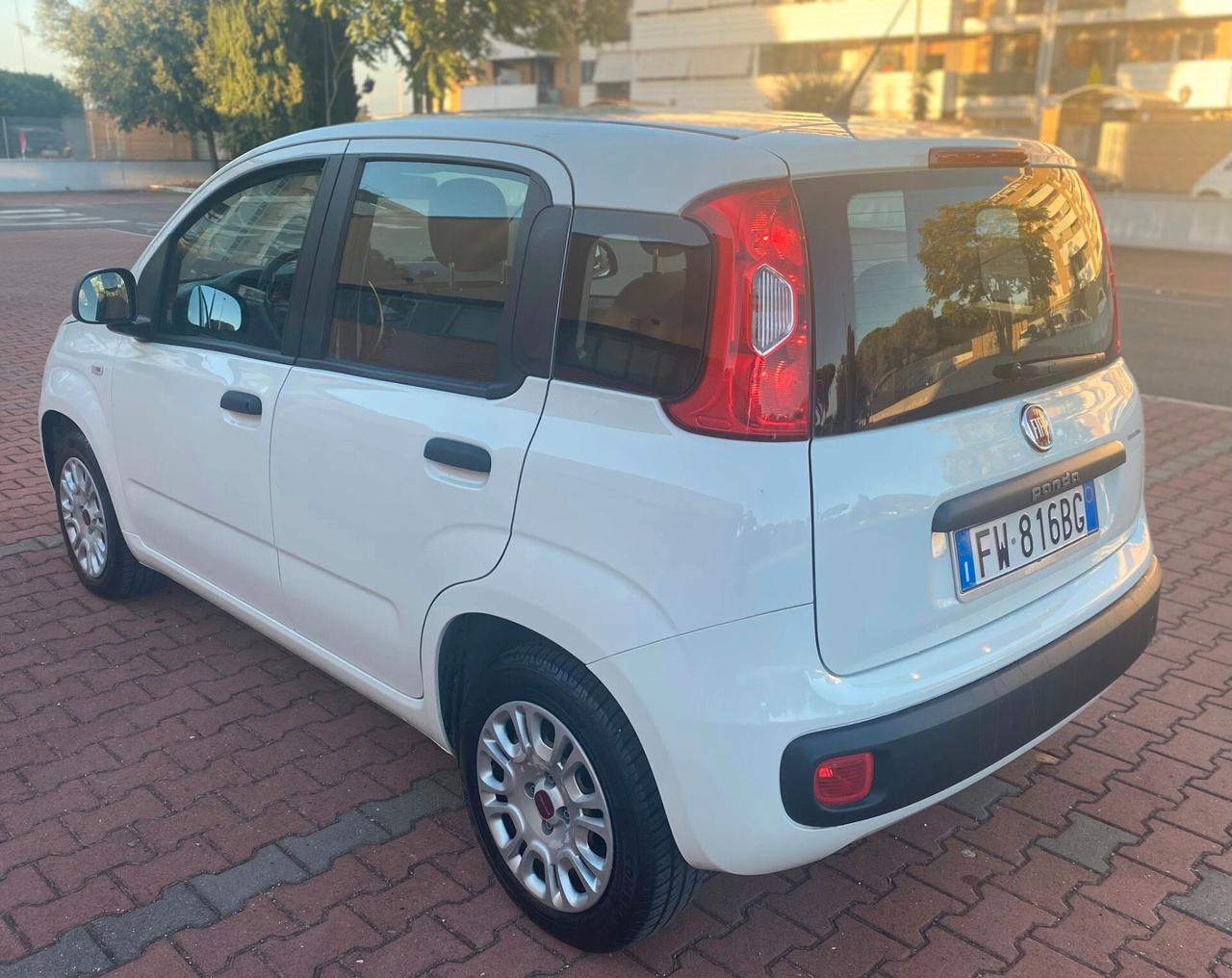 FIAT PANDA EASY 1.2cc IDONEA NEOPATENTATI