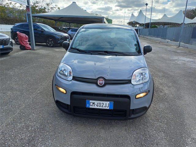 FIAT Panda 3ª serie 1.0 FireFly S&S Hybrid City Life