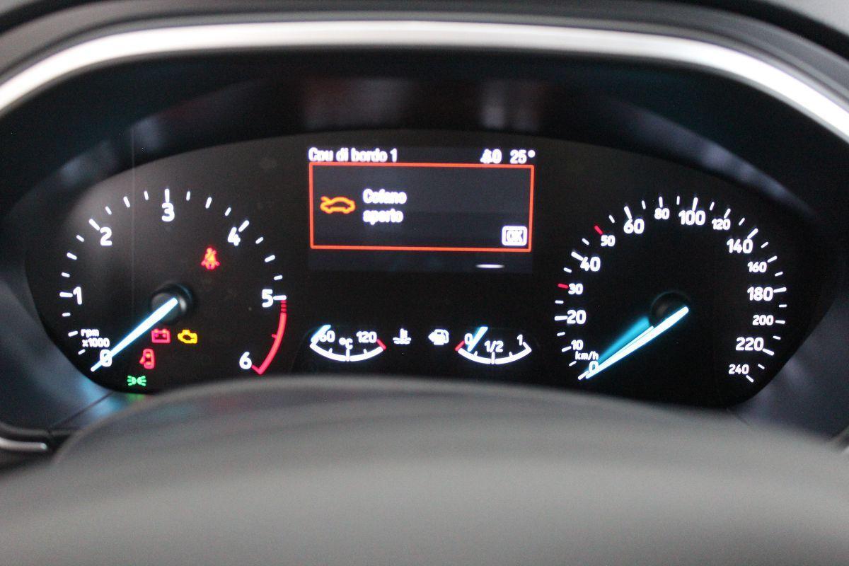 FORD - Focus Station Wagon - Focus 1.5 EcoBlue 120CV SW Business