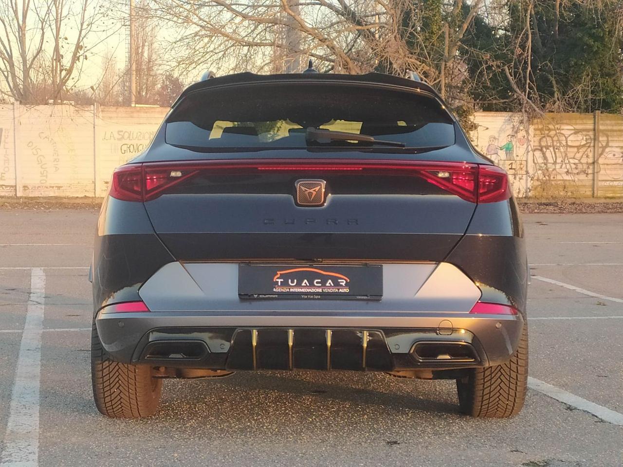 Cupra Formentor Tribe Edition 2.0 TDI #8281