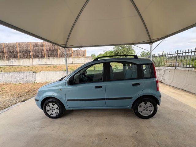 FIAT Panda 1.2 Dynamic OK NEOPATENTATI CLIMATIZZATORE