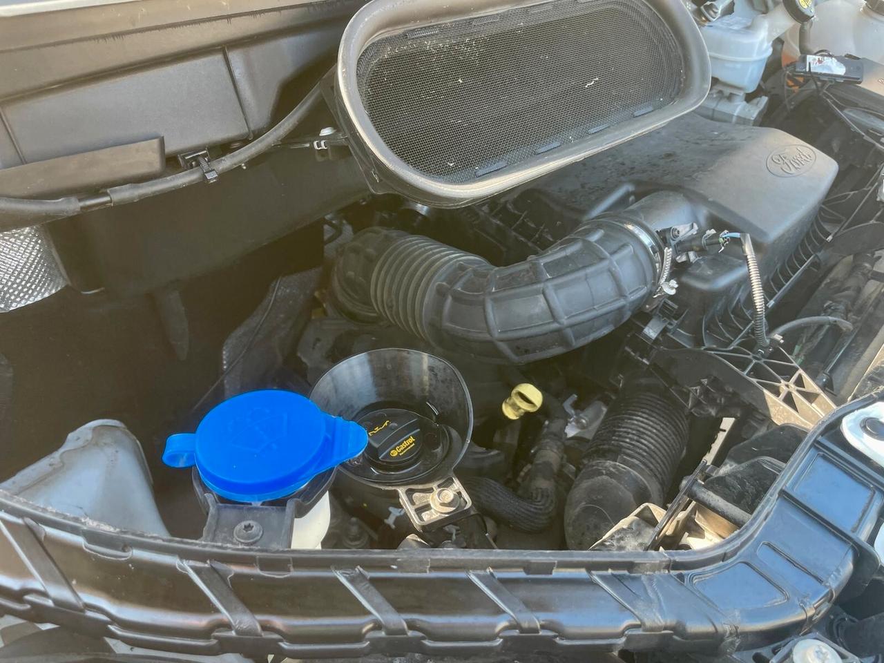 FORD TRANSIT 350 L2H2 TREND 2.0 - 2022