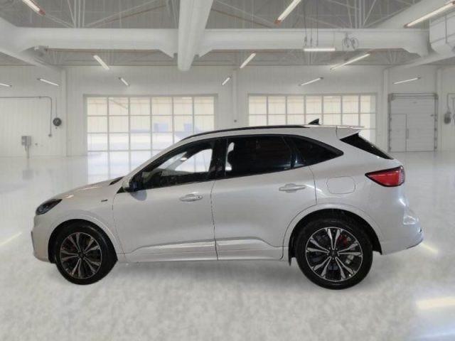 FORD Kuga 1.5 EcoBoost 150 CV 2WD ST-Line