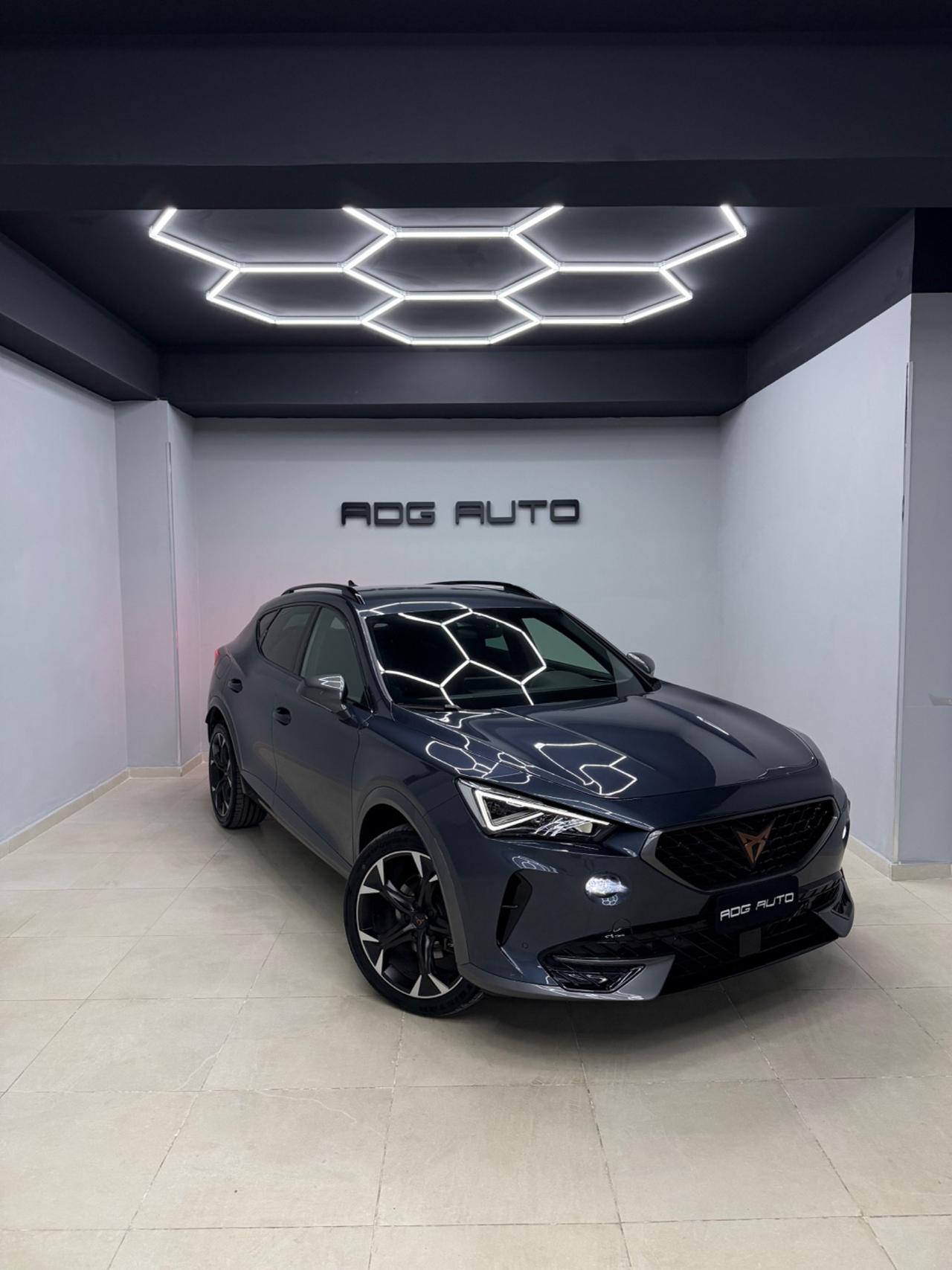 Cupra Formentor 2.0 TDI 4Drive DSG 64 mila km