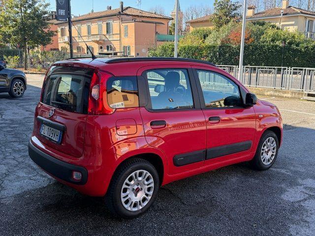 FIAT - Panda - 1.2 Easy