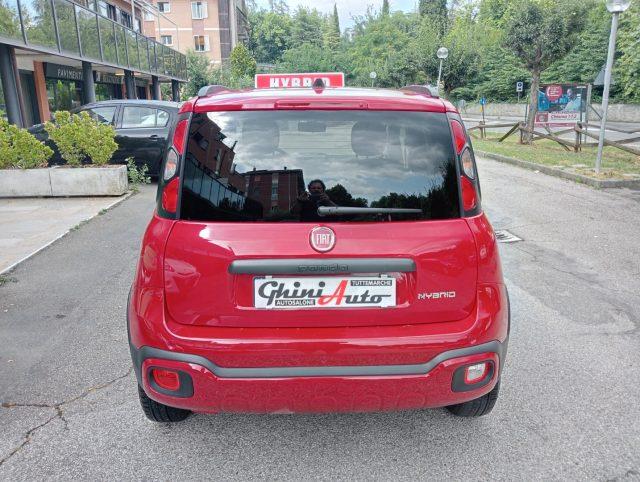 FIAT Panda Cross 1.0 FireFly S&S "CROSS" Hybrid KM 19000