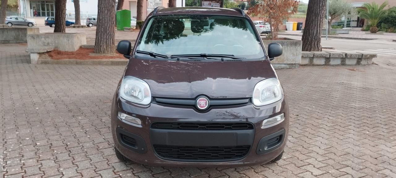Fiat Panda Lounge 1.2 Fire 02/13 km 75.589