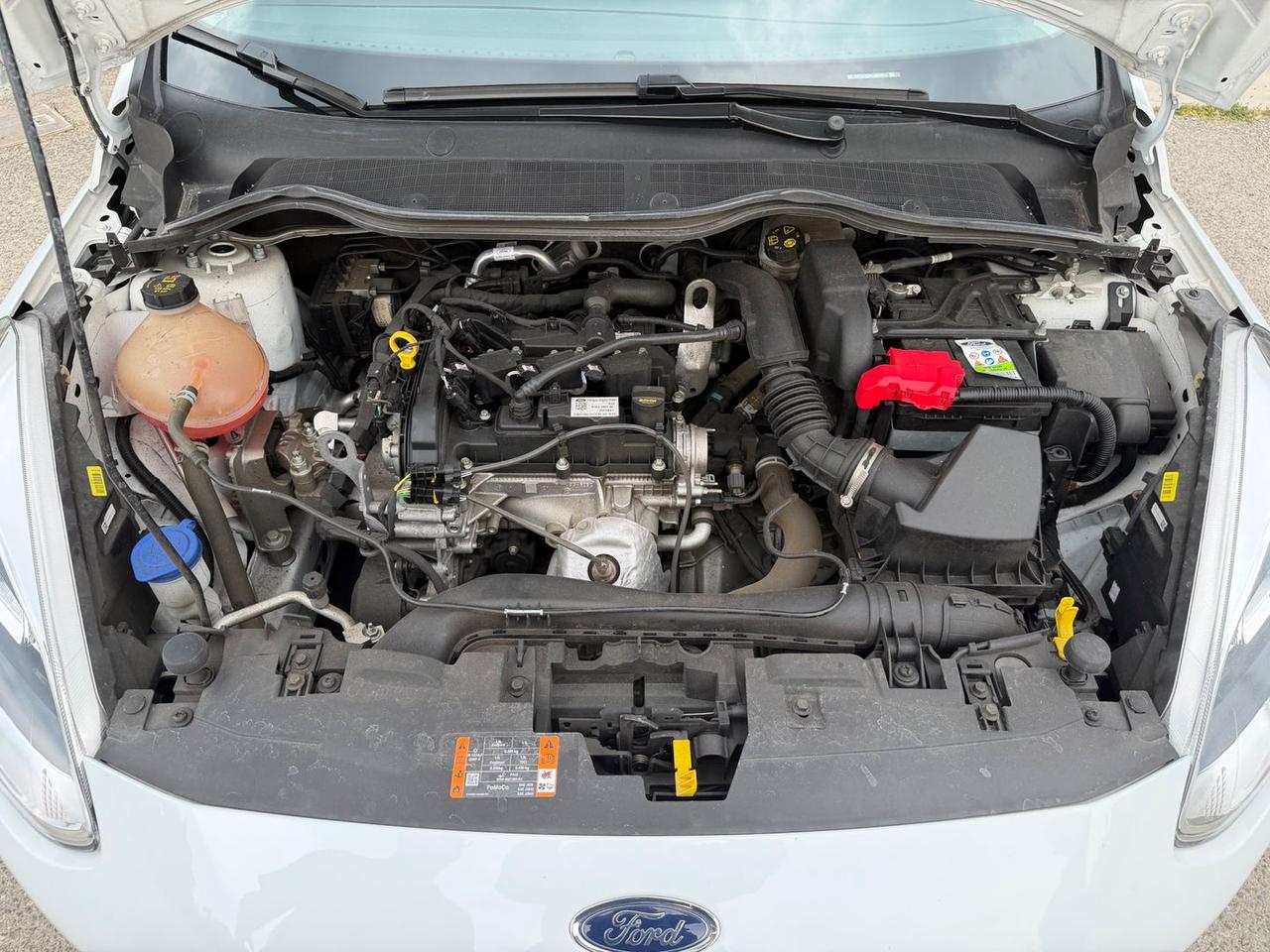 Ford Fiesta Plus 1.1 #11077