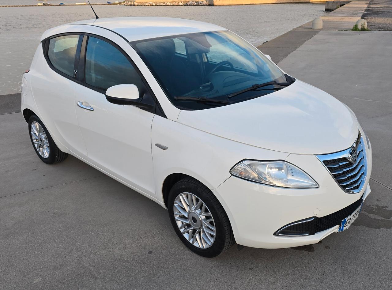 Lancia Ypsilon 1.3 MJT 16V 95 CV 5 porte S&S Platinum