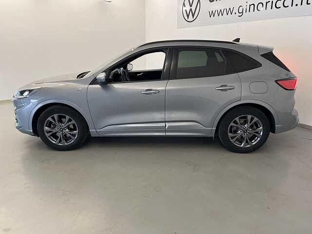 Ford Kuga 1.5 EcoBlue 120 CV 2WD ST-Line