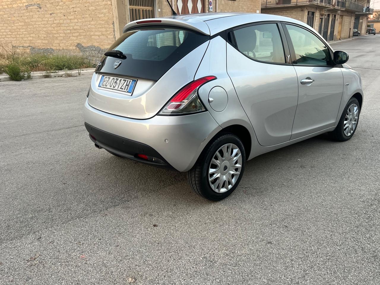 Lancia Ypsilon 1.3 MJT 16V 95 CV 5 porte S&S Elefantino