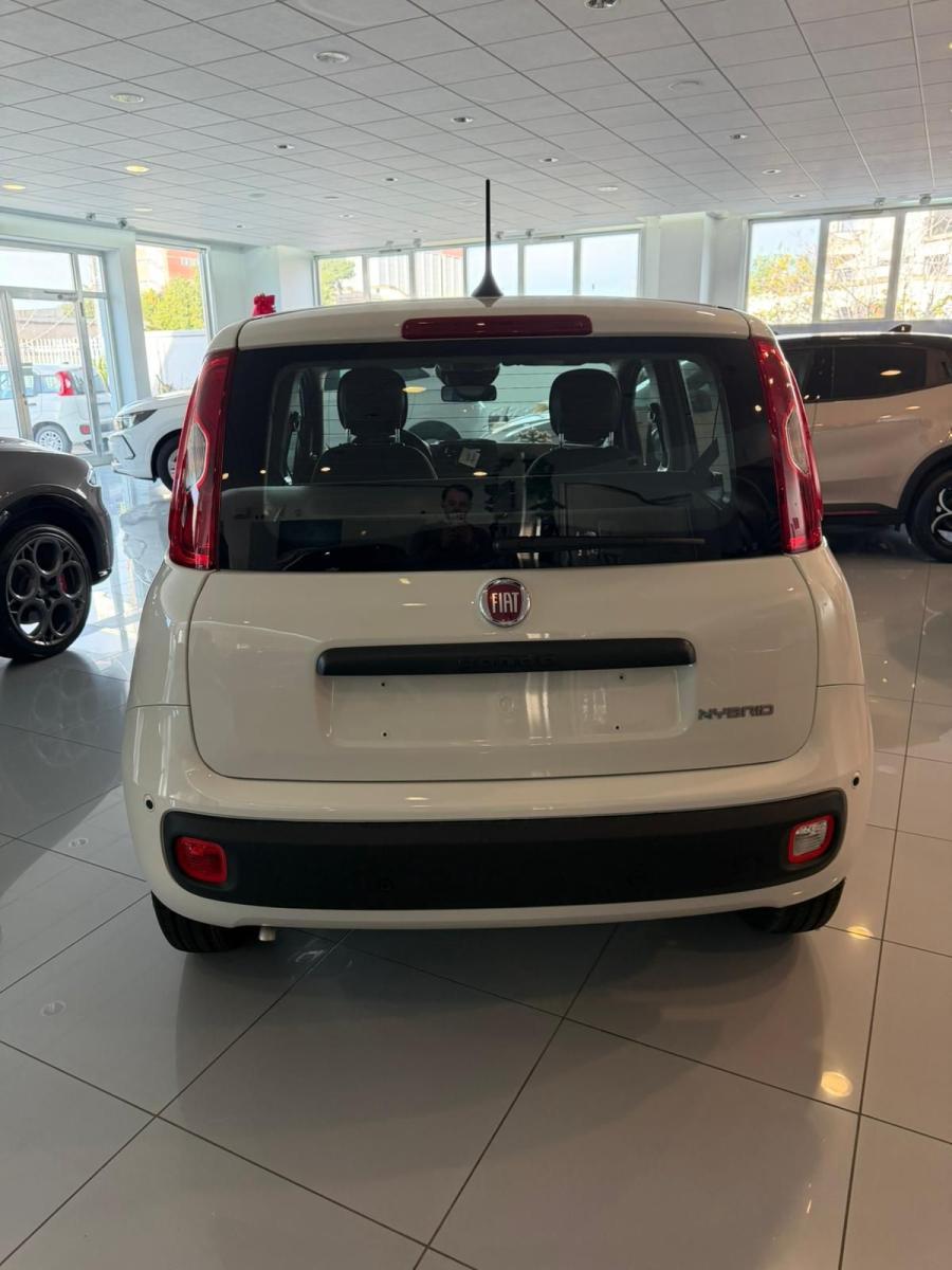 FIAT - Panda - 1.0 FireFly S&S Hybrid Pandina