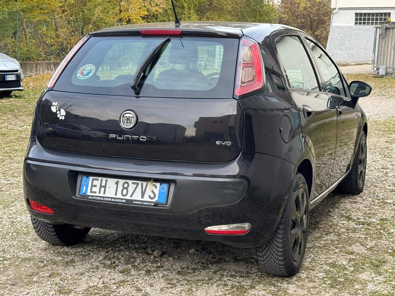 Fiat Punto Evo 1.3 Mjt 95 CV DPF 5 porte S&S Emotion