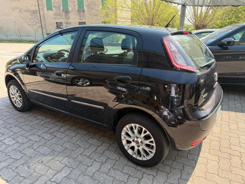 Fiat Punto Evo 5 Porte Punto Evo 5p 1.4 natural power 70cv OK NEOPATENTATO