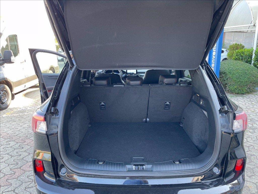 FORD Kuga 2.0 ecoblue ST-Line X awd 120cv auto del 2023