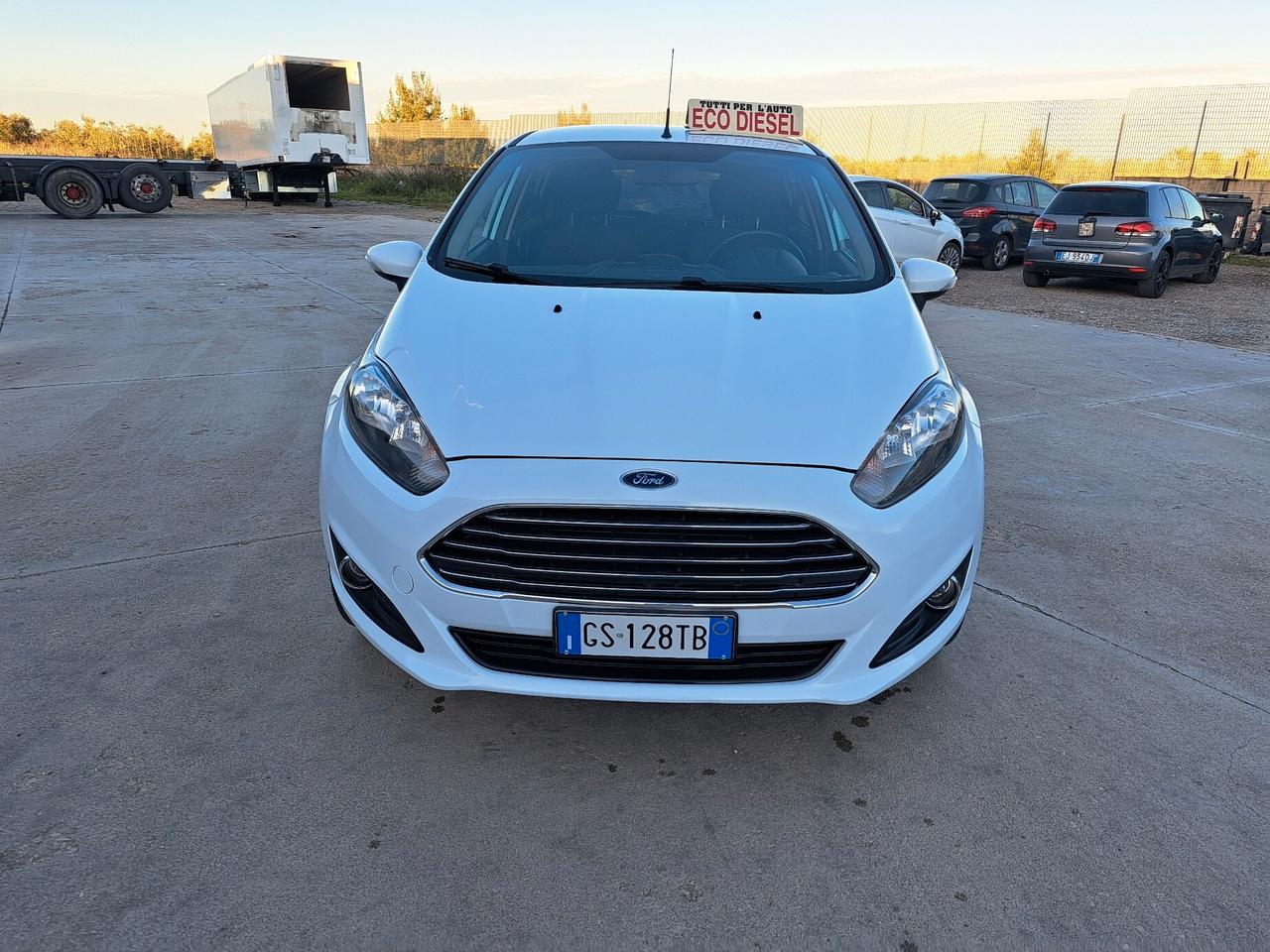 Ford Fiesta 1.5 TDCi 75CV 5 porte Titanium - 2013